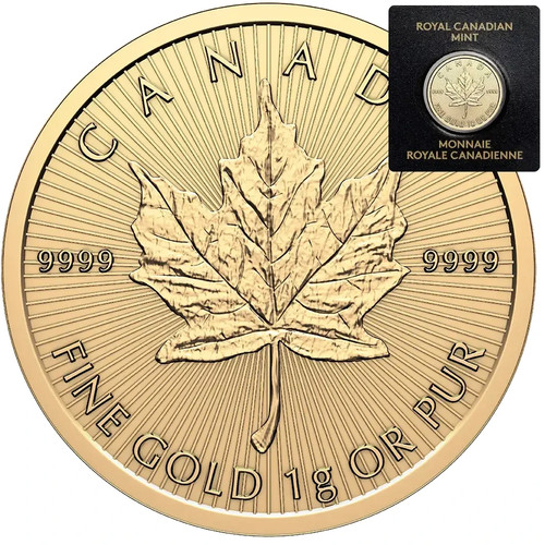 Moneta oro maple - maple, leaf