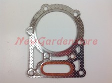 Guarnizione testata ACME