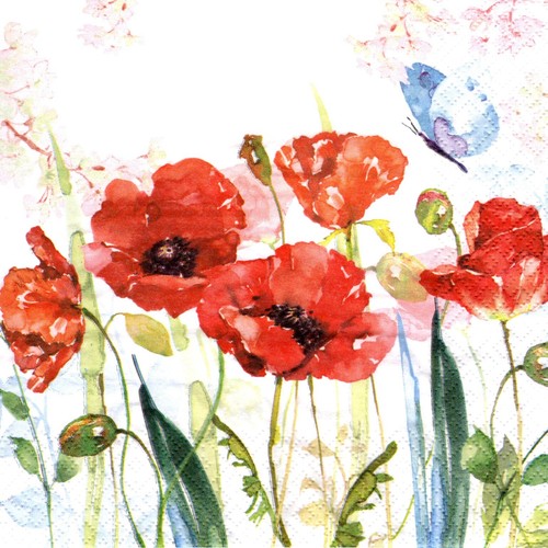 Serviettes papier - serviettes, en
