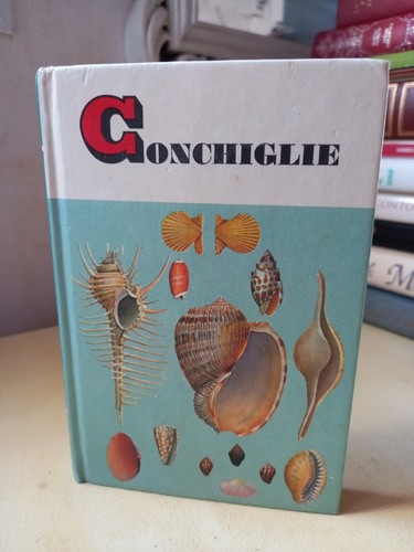 Conchiglie abbott e - r.t.,