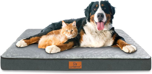 Cuscino per cani - cuscino,