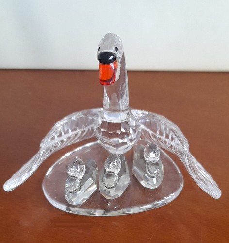 The swan family - ,
