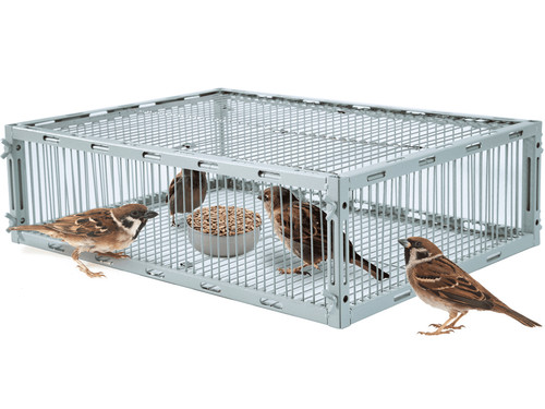 Gabbia trappola per uccelli