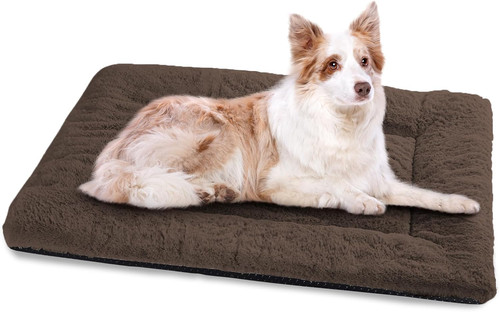 Cuccia cane interno - cane,