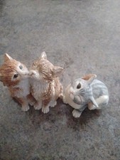 cute kissing cat country