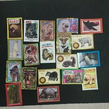 Lot puppy friends - lot, of