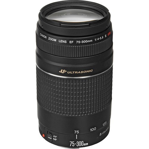 Canon 300 - canon, 75-300