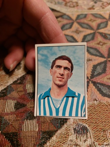 Figurina panini calciatori - figurina,