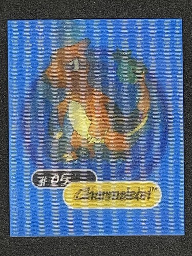 Pokémon yoga charmander - pokÉmon,