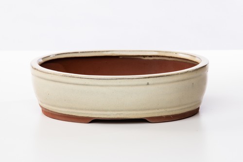 Vaso bonsai smaltato - ovale, cm