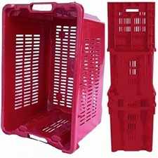 CASSETTA OLIVE UVA IMPILABILE