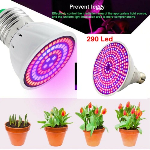 Lampadine led lampada luce - lampadine,