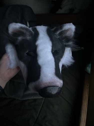 Maschera animale tasso - tasso, europeo