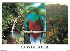 Animaux - Oiseaux - A Définir - Costa Rica - Multivues - Foret Tropicale - Voir