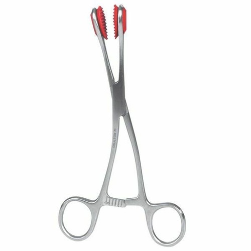 Pinza per lingua - pinza,