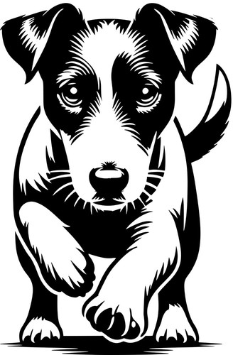 Adesivo jack russell terrier - russell,