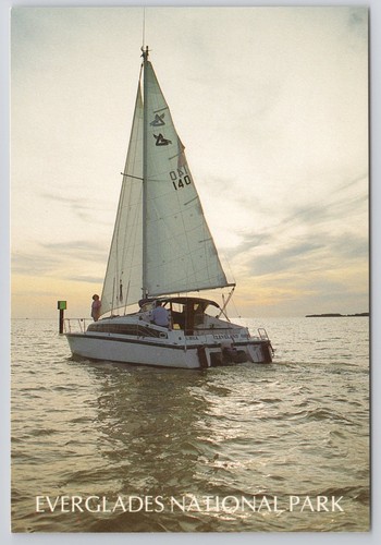 Cartolina vela everglades - cartolina,
