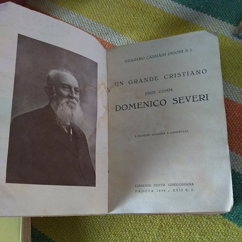Domenico severi grande - domenico,