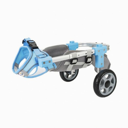 Sedia rotelle cani - sedia, a