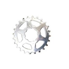 S202524 - PIGNONE MICHE