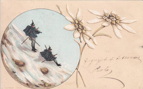 A8691 alpini con bombetta e - alpini,