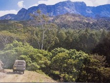Malawi - Zomba Mountain, Vintage Postcard