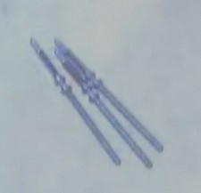 Lemania 1340-1341- 1345 Omega 1040-1041 tige 3 pezzi