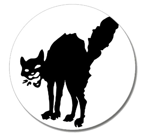 Katze punk button pin neu - katze,