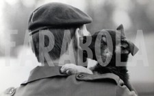 Foto vintage  Un cucciolo di pastore tedesco, stampa 20x13 cm