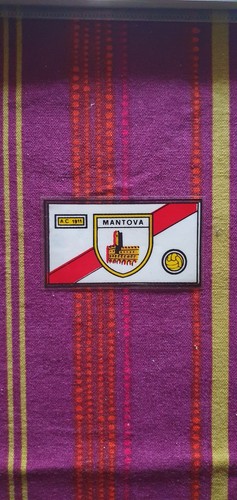Scudetto mantova album - scudetto,