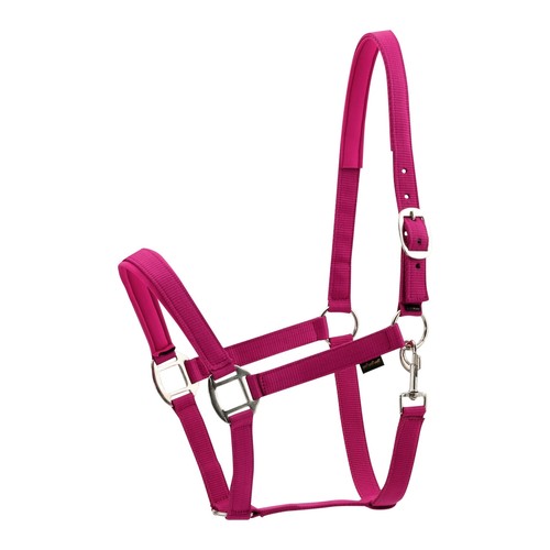 Horse guard halter - halter, in