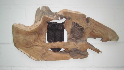 Quadro gufo legno - in, teak
