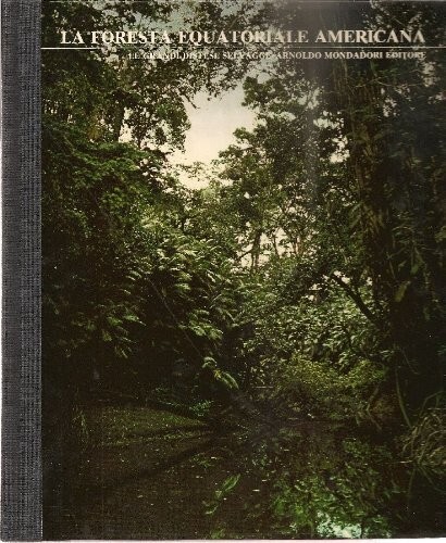 Mondadori grandi distese - mondadori, le
