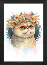 Carino gatto esotico a pelo