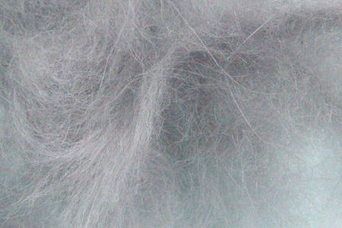 Doppiaggio coniglio angora - doppiaggio,