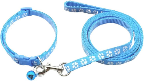 Collare cane collari - collare, e