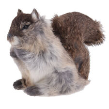 Modello Realistico Scoiattolo