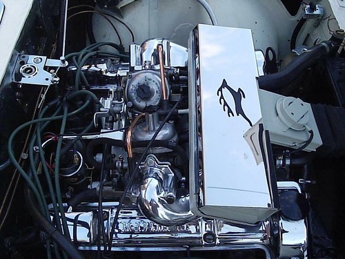 Triumph stag copertura scatola - stag,