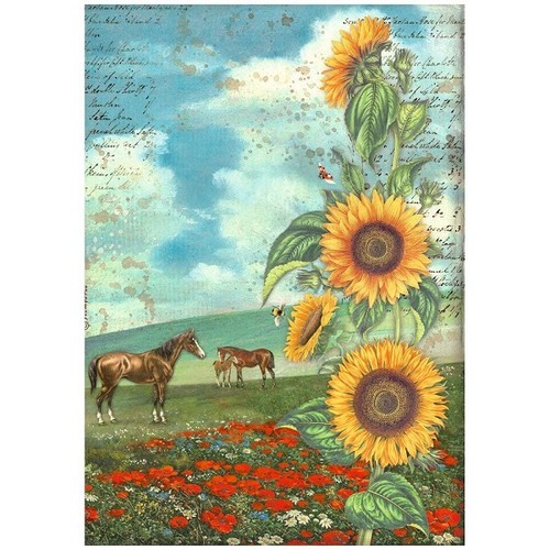 Carta riso sunflower - riso, e
