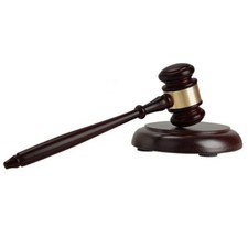 Juvenile Justice Gavel