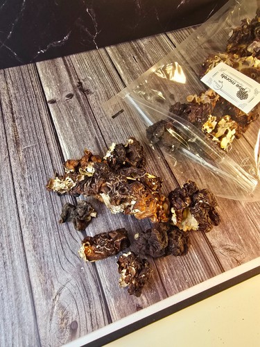 Funghi secchi finti - , spugna