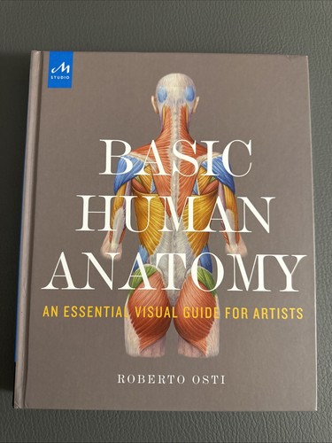 Basic human anatomy an - :,