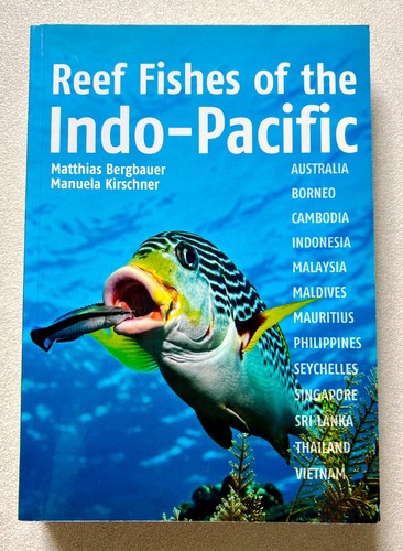 Reef fishes the - fishes, of