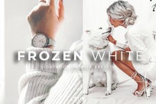Frozen White, 4 preset mobili