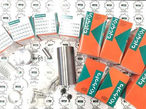 V1505 kit revisione motore - v1505,
