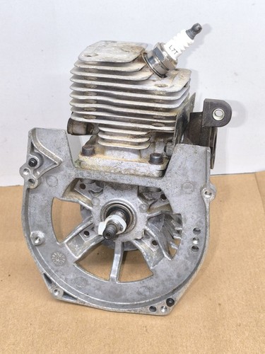 Gruppo motore decespugliatore