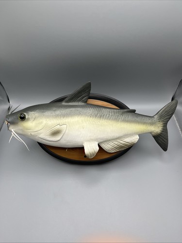 Gemmy cool catfish animato - catfish,