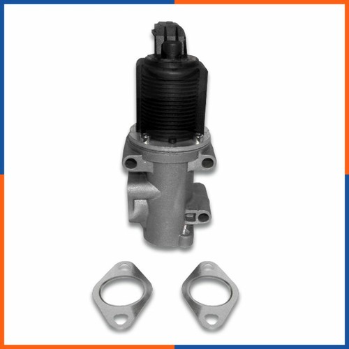 Vanne egr pour - egr, fiat