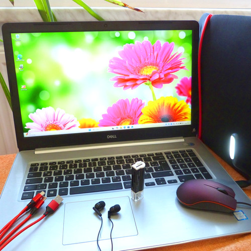 Dell 5770 pollici fullhd - 17,
