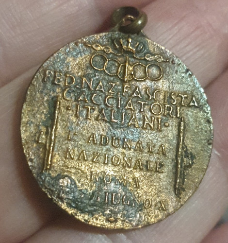 Medaglia adunata - medaglia, 1a